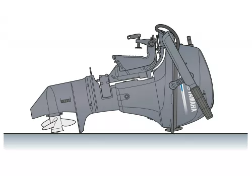 Izvenkrmni motor Yamaha F6D